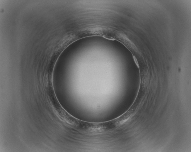 X0000065970213200603101405