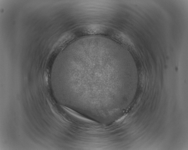 X0000065970214200603101405