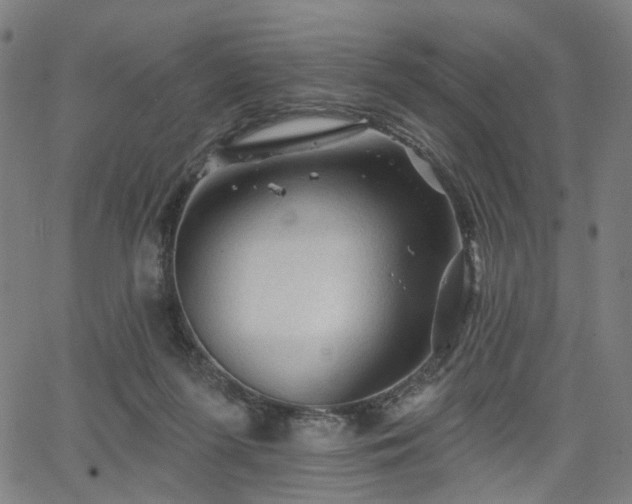 X0000065970215200603101405