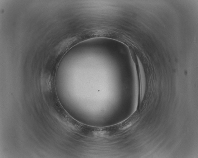 X0000065970216200603101405