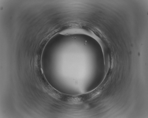 X0000065970217200603101405