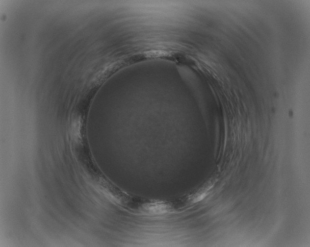 X0000065970219200603101405