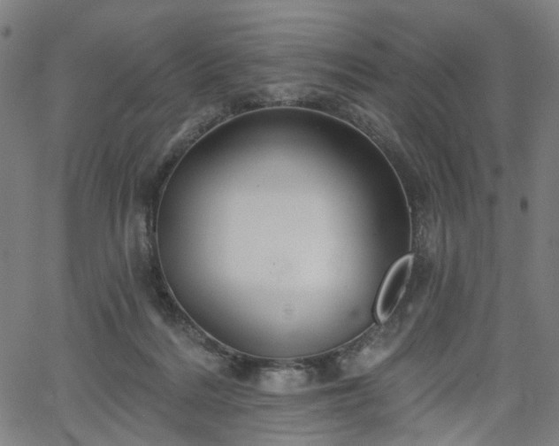 X0000065970220200603101405