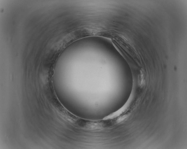 X0000065970221200603101405