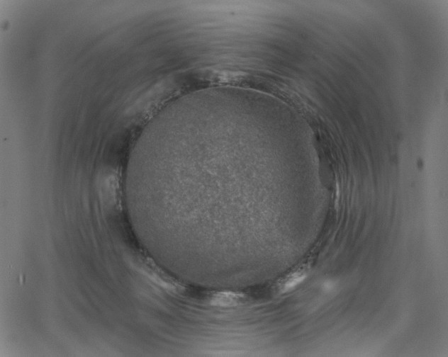 X0000065970222200603101405