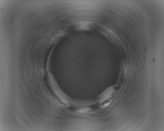 X0000065970223200603101405