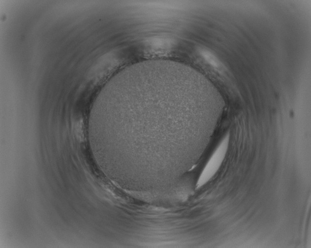 X0000065970224200603101405