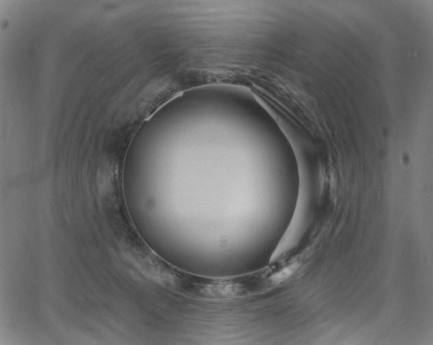 X0000065970225200603101405