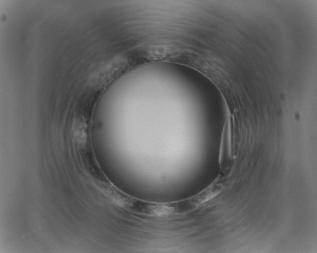 X0000065970226200603101405