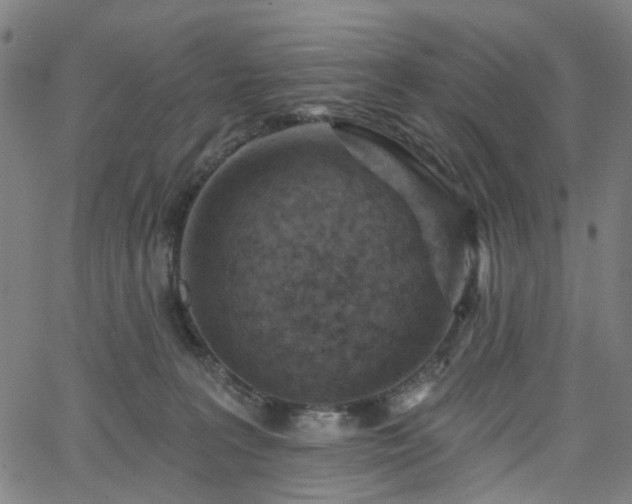 X0000065970227200603101405