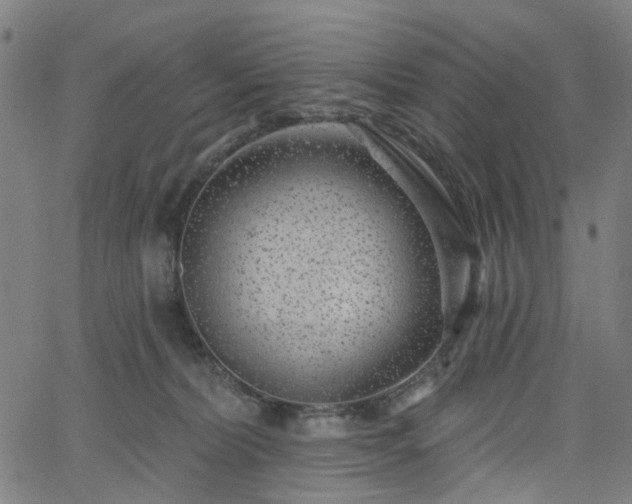 X0000065970228200603101405