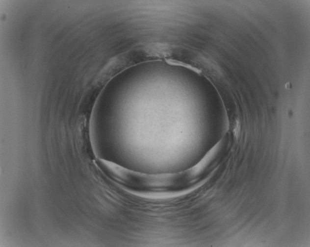 X0000065970229200603101405