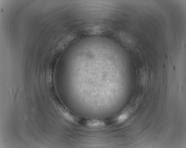 X0000065970230200603101405