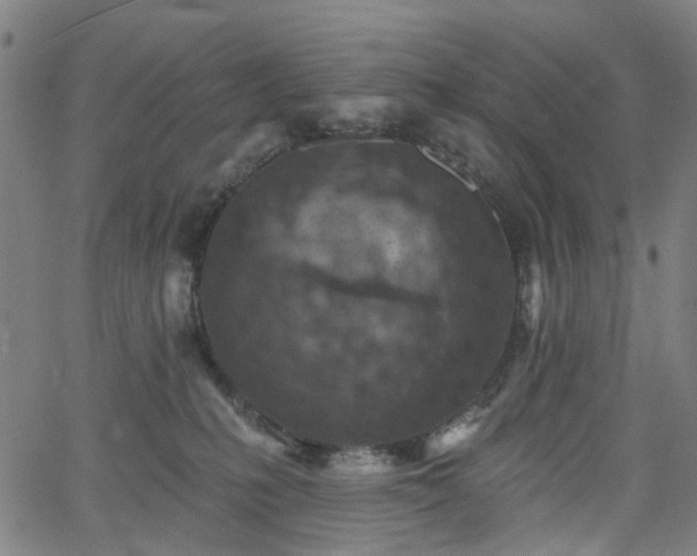 X0000065970231200603101405