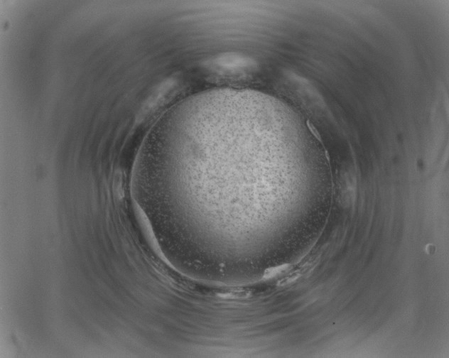 X0000065970232200603101405