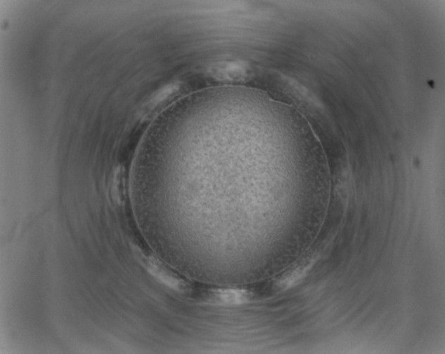 X0000065970233200603101405