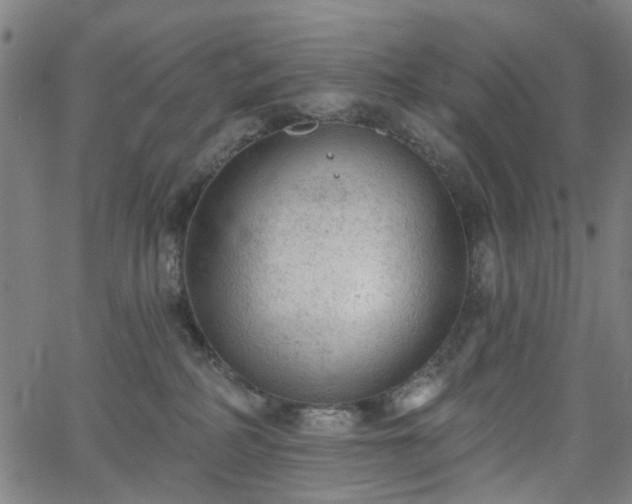 X0000065970234200603101405