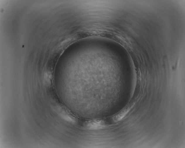 X0000065970235200603101405