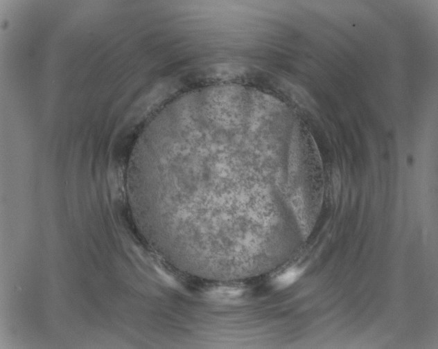 X0000065970236200603101405