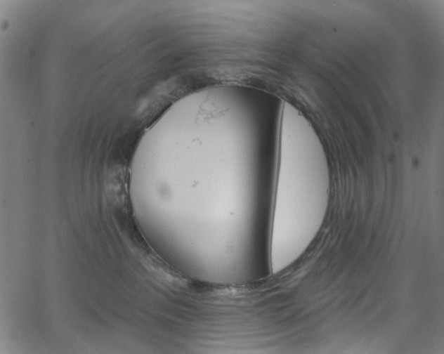 X0000065970237200603101405