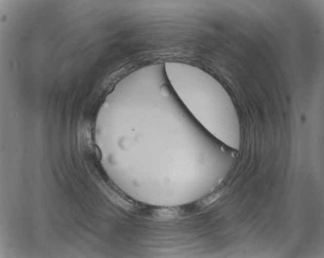 X0000065970238200603101405