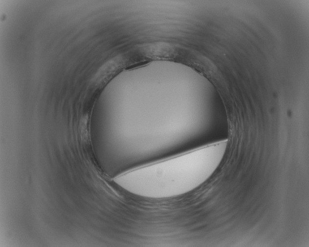 X0000065970239200603101405