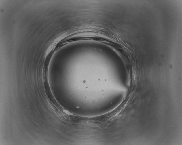 X0000065970244200603101404