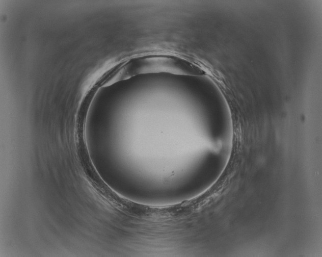 X0000065970248200603101404