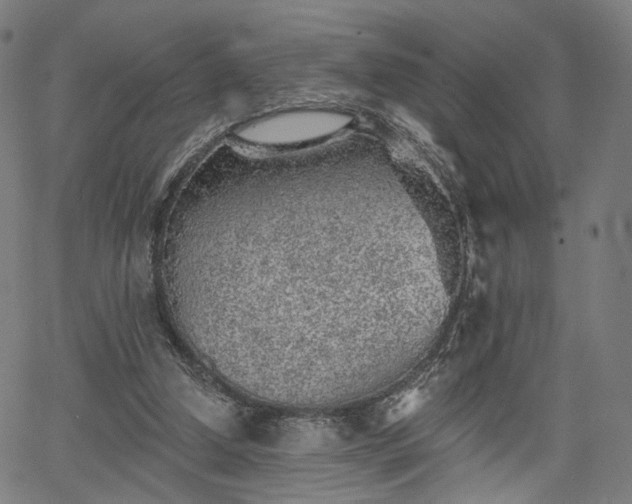 X0000065970250200603101404