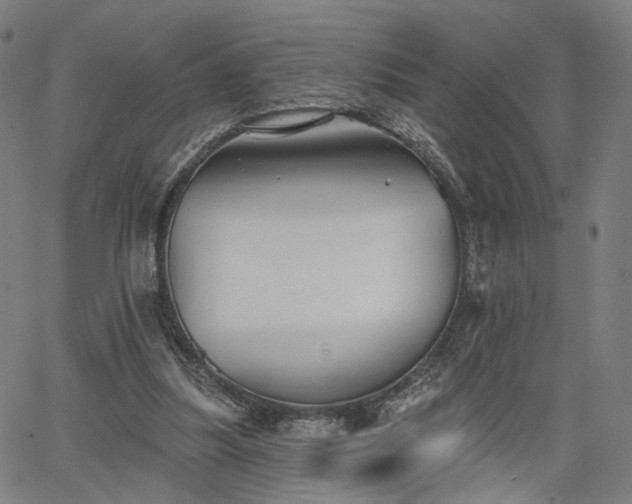 X0000065970251200603101404