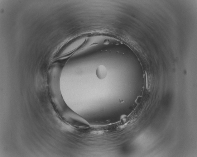 X0000065970252200603101404