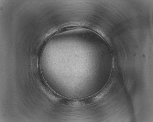 X0000065970253200603101404