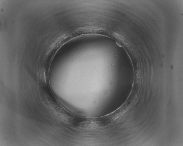 X0000065970254200603101404