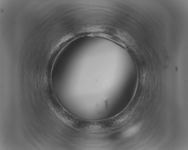 X0000065970256200603101404