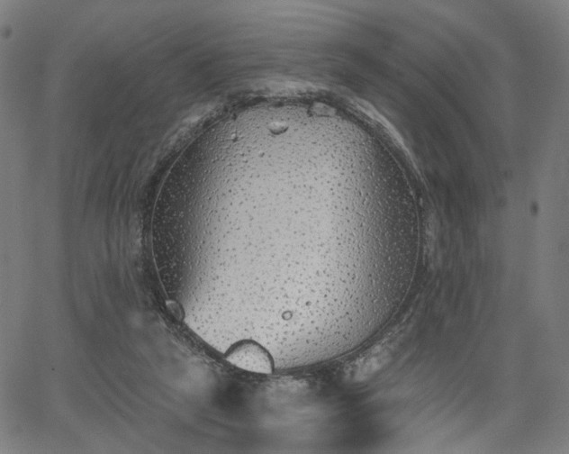 X0000065970257200603101404