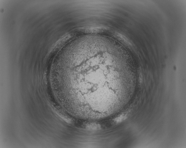 X0000065970258200603101404