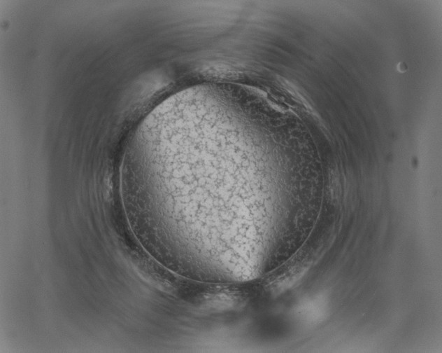 X0000065970259200603101404