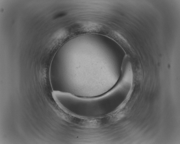 X0000065970260200603101404