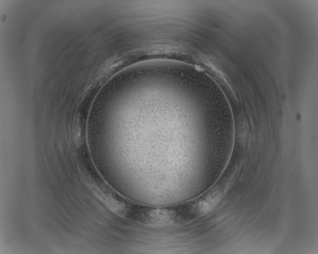 X0000065970261200603101404