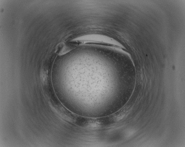 X0000065970263200603101404