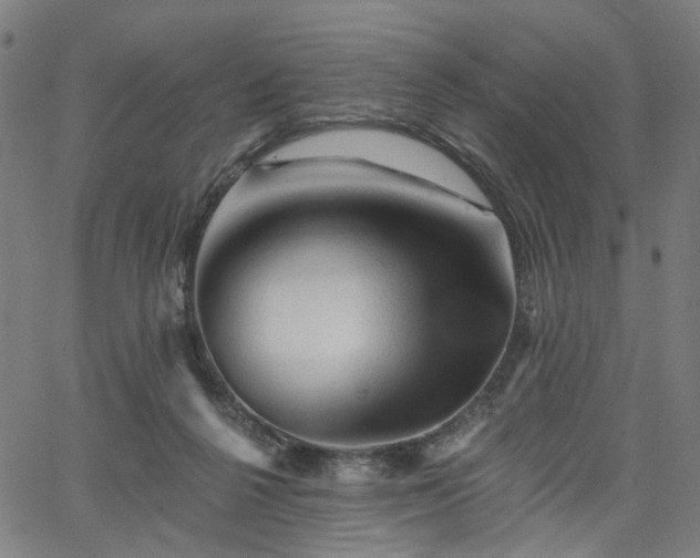 X0000065970264200603101404