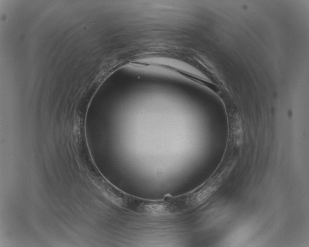 X0000065970265200603101404