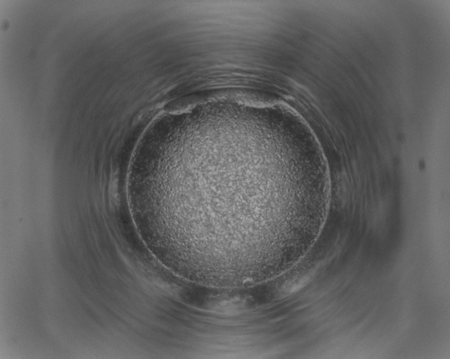 X0000065970267200603101404