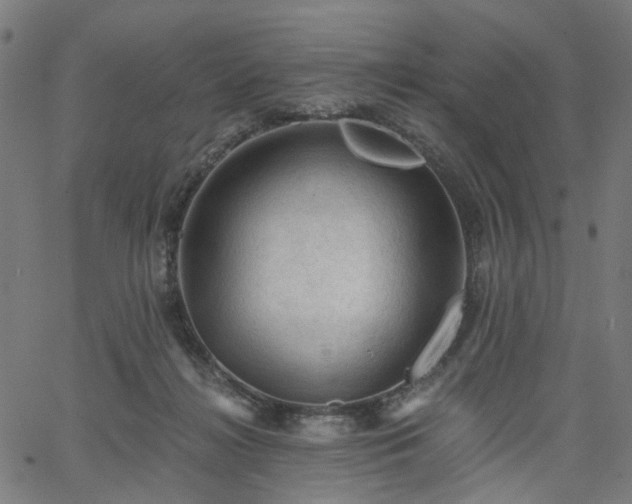 X0000065970268200603101405