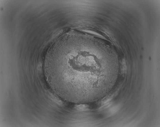 X0000065970269200603101405