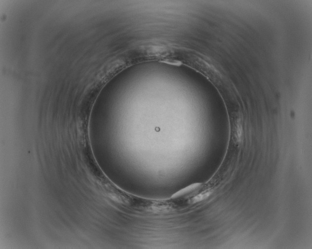 X0000065970270200603101405