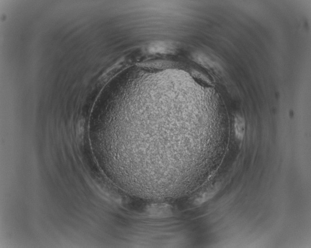 X0000065970271200603101405