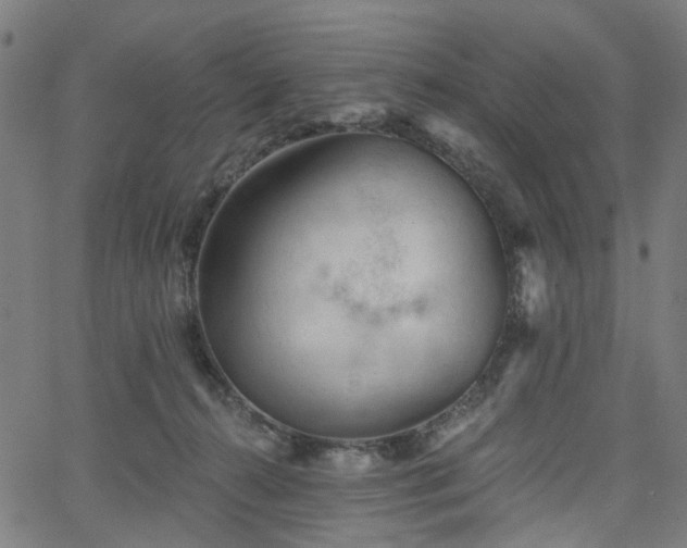 X0000065970272200603101405