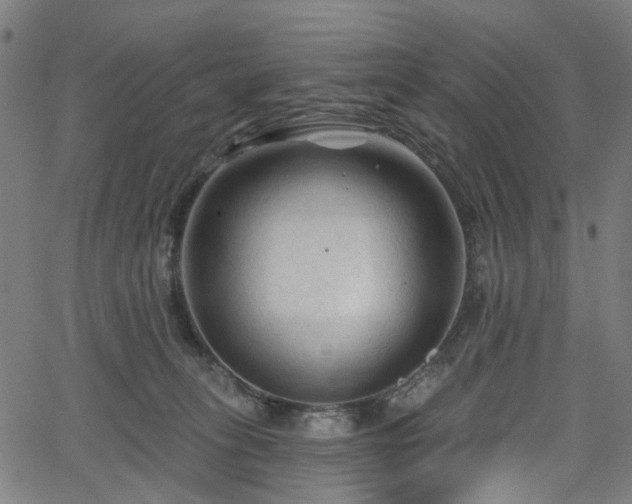 X0000065970275200603101405