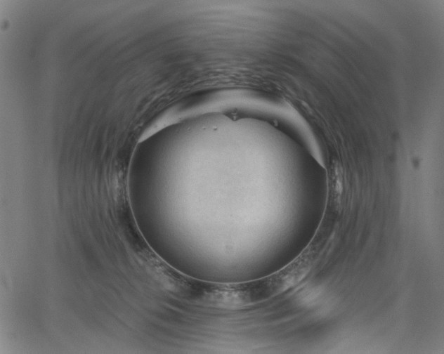 X0000065970276200603101405